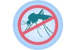 Mosquito Control Treatment